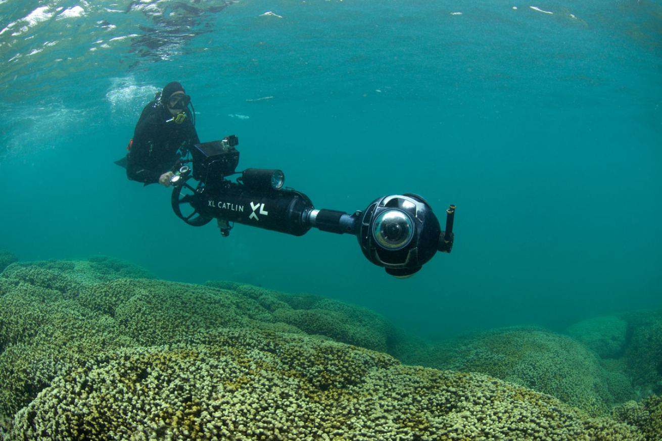 The SVII surveying corals in Kaneohe Bay, Hawaii - August 2015