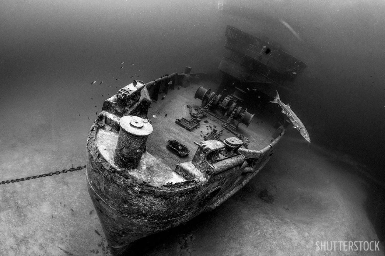 Kittiwake Shipwreck