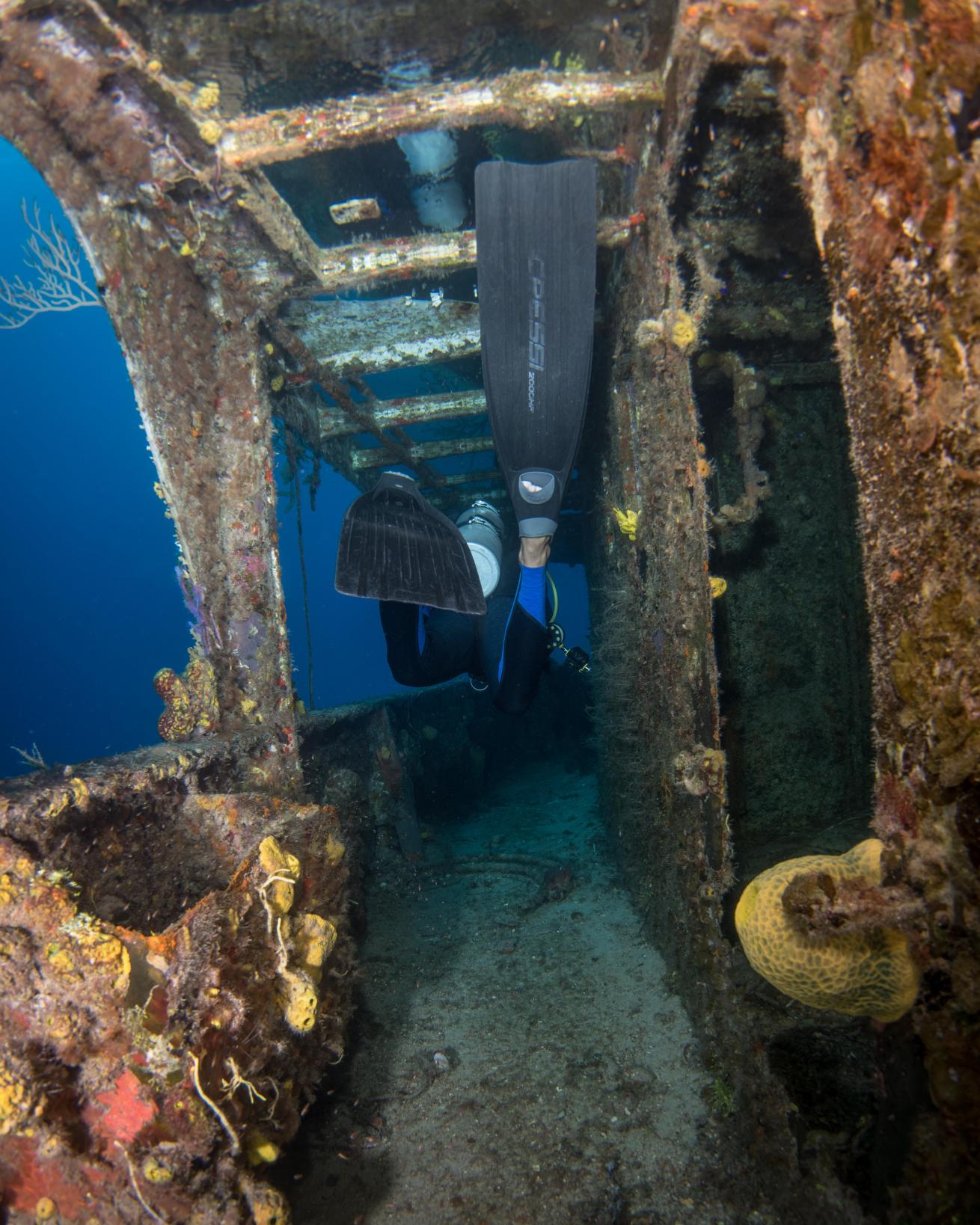 shipwreck at Stuart Cove Dive Bahamas