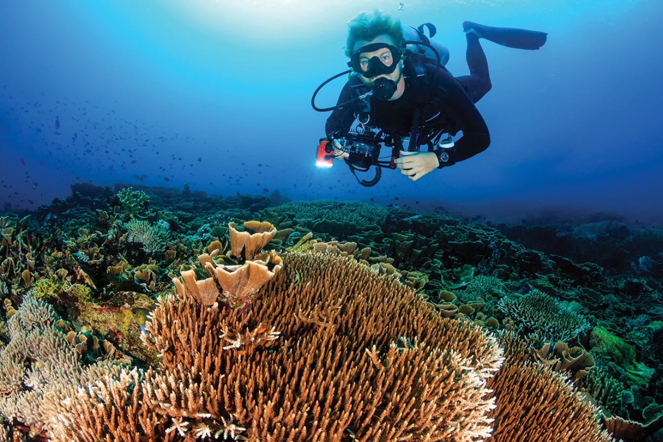 An underwater photographer hovers over coral.