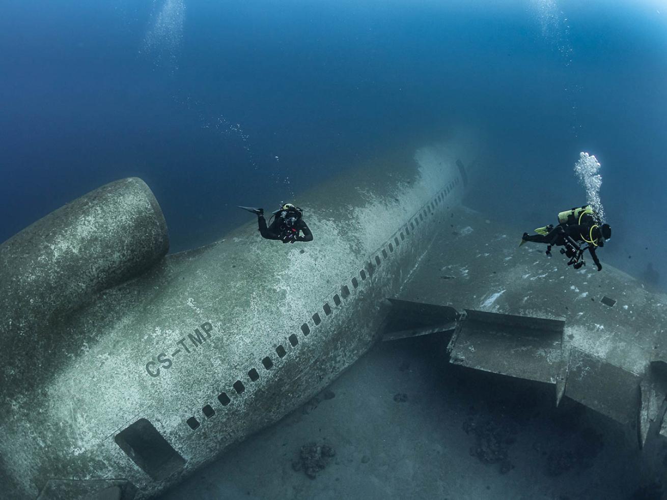 Divers hover over Red Sea airplane
