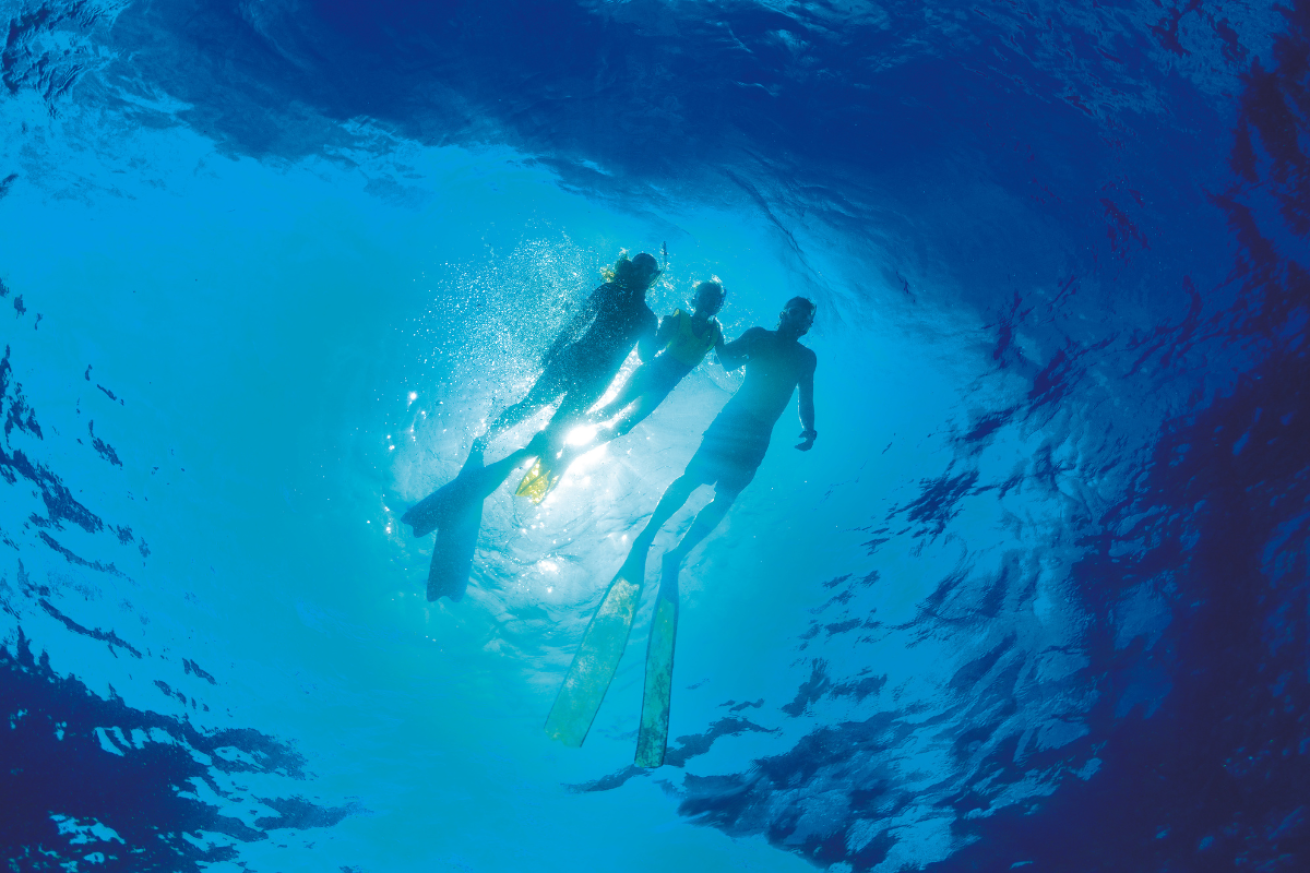 A family snorkeling