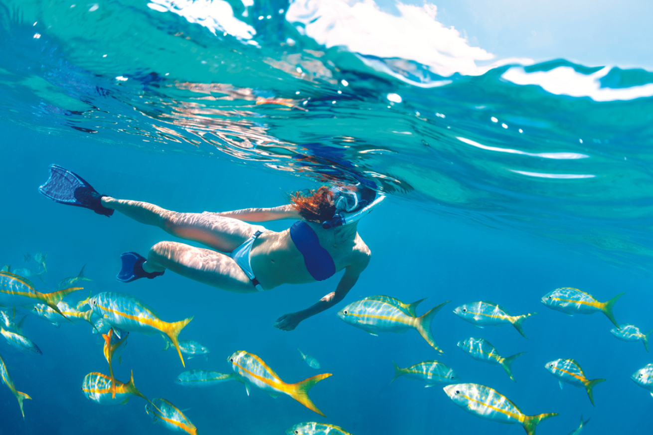 Female snorkeling with yellow and white fish