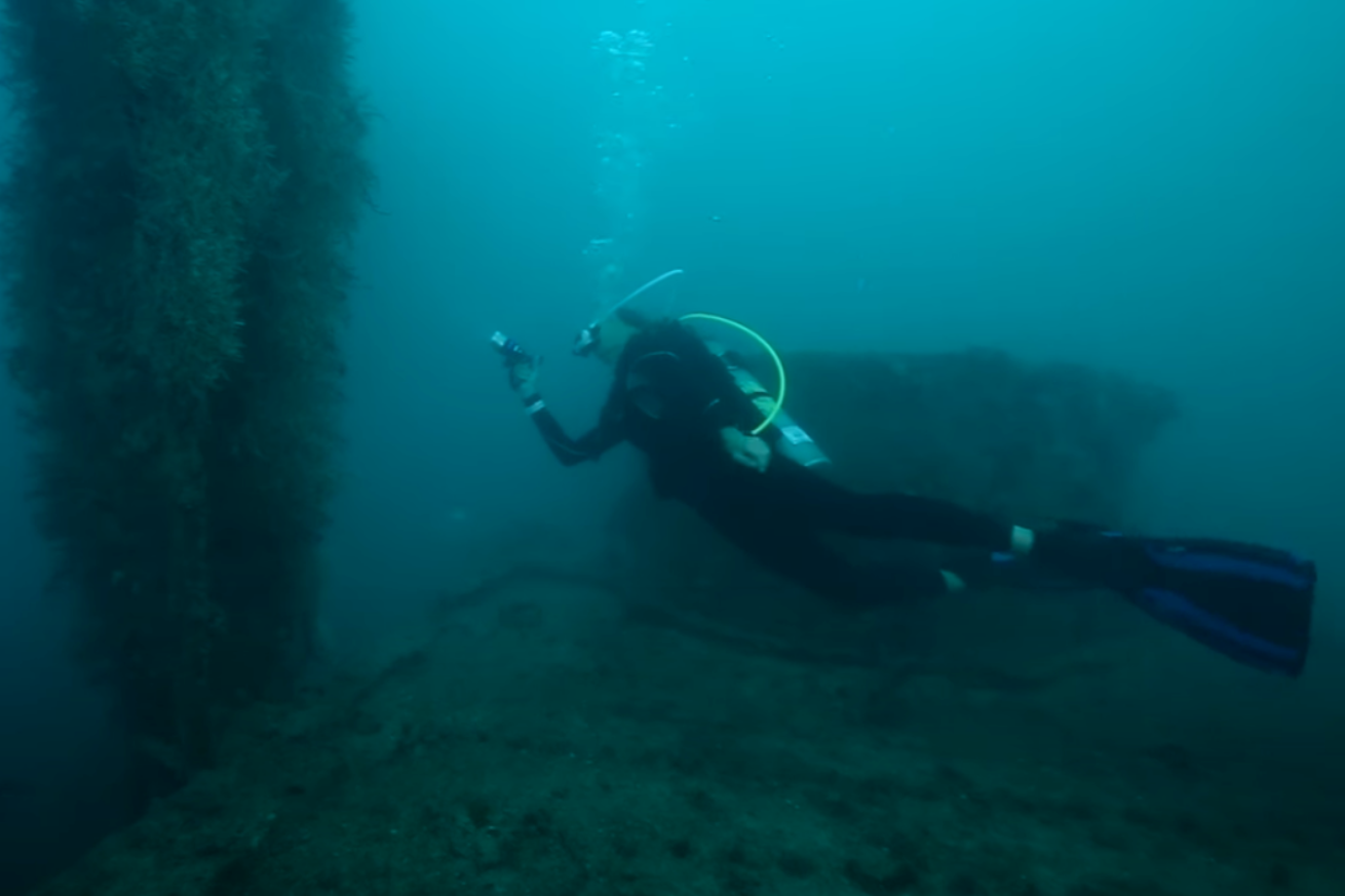 Diver examining shipwreck