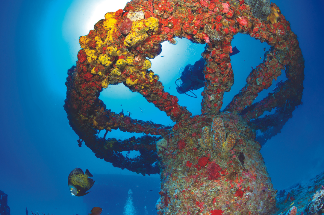 Coral encrusted shipwreck reel
