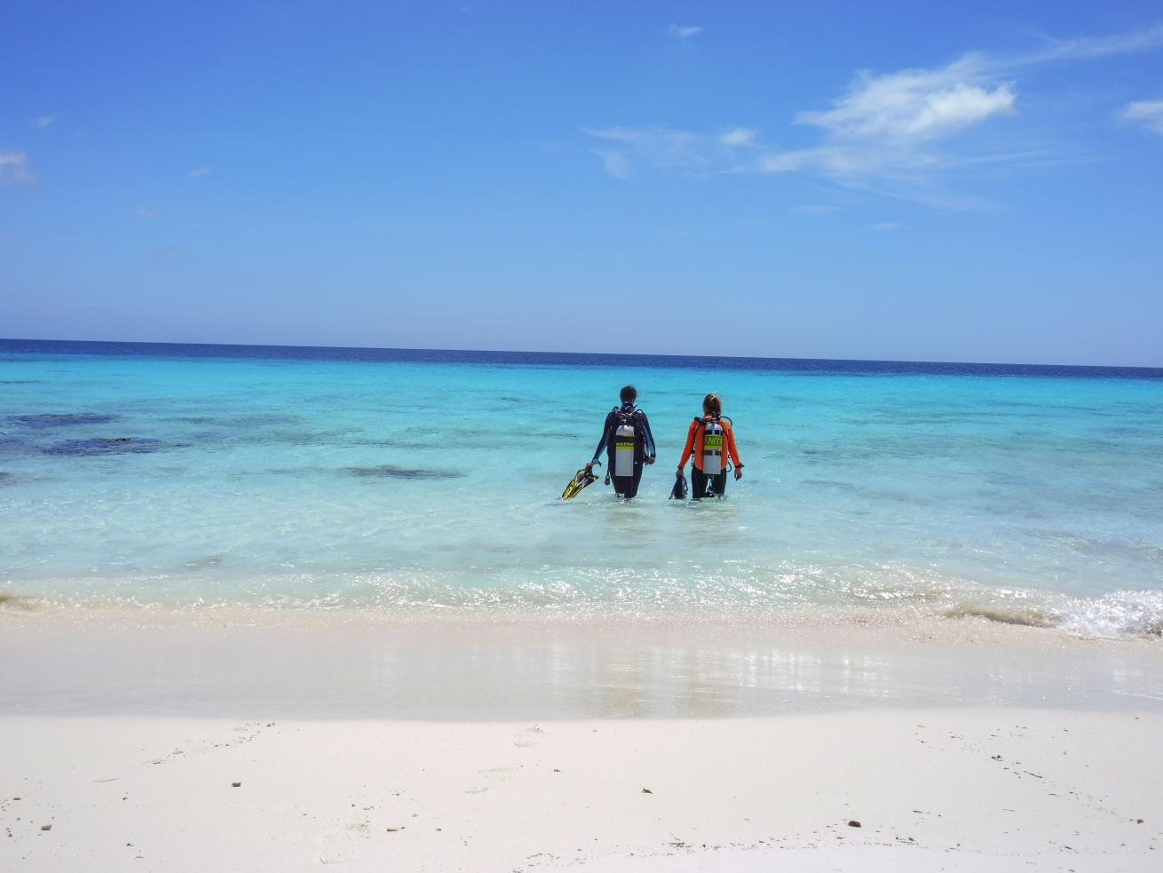 Buddy Dive Resort Bonaire