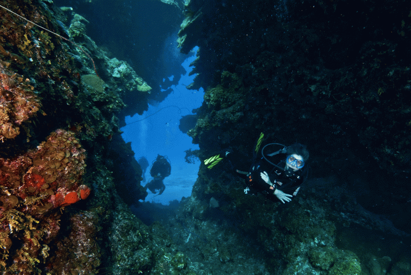 Split Coral Head swim-through