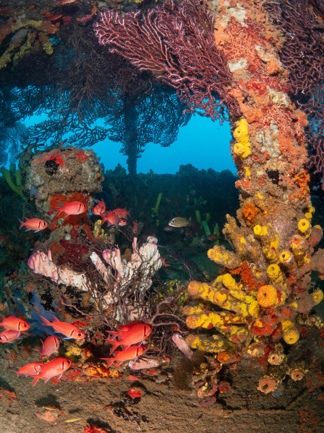 colorful wreck closeup
