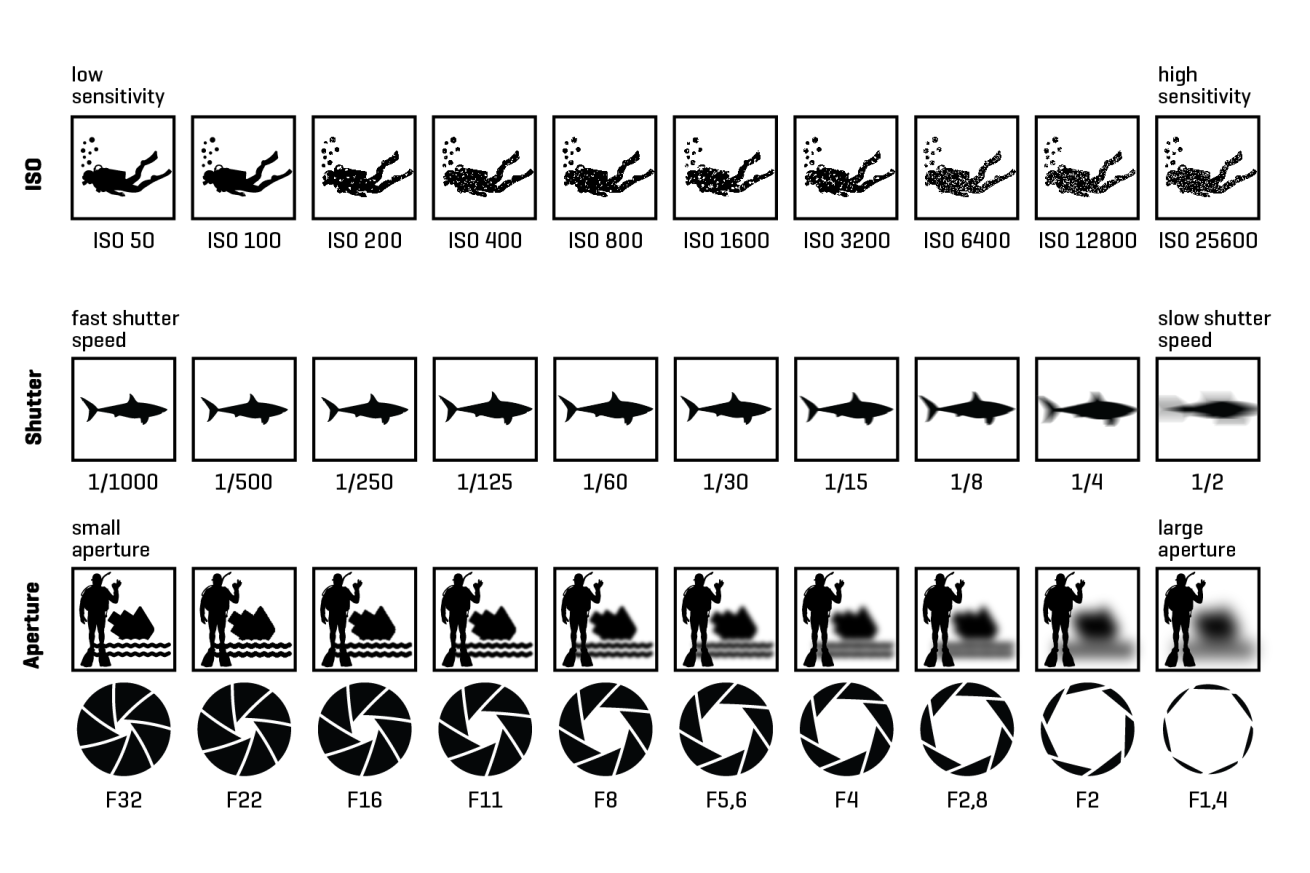 cheat sheet of underwater manual photography settings 