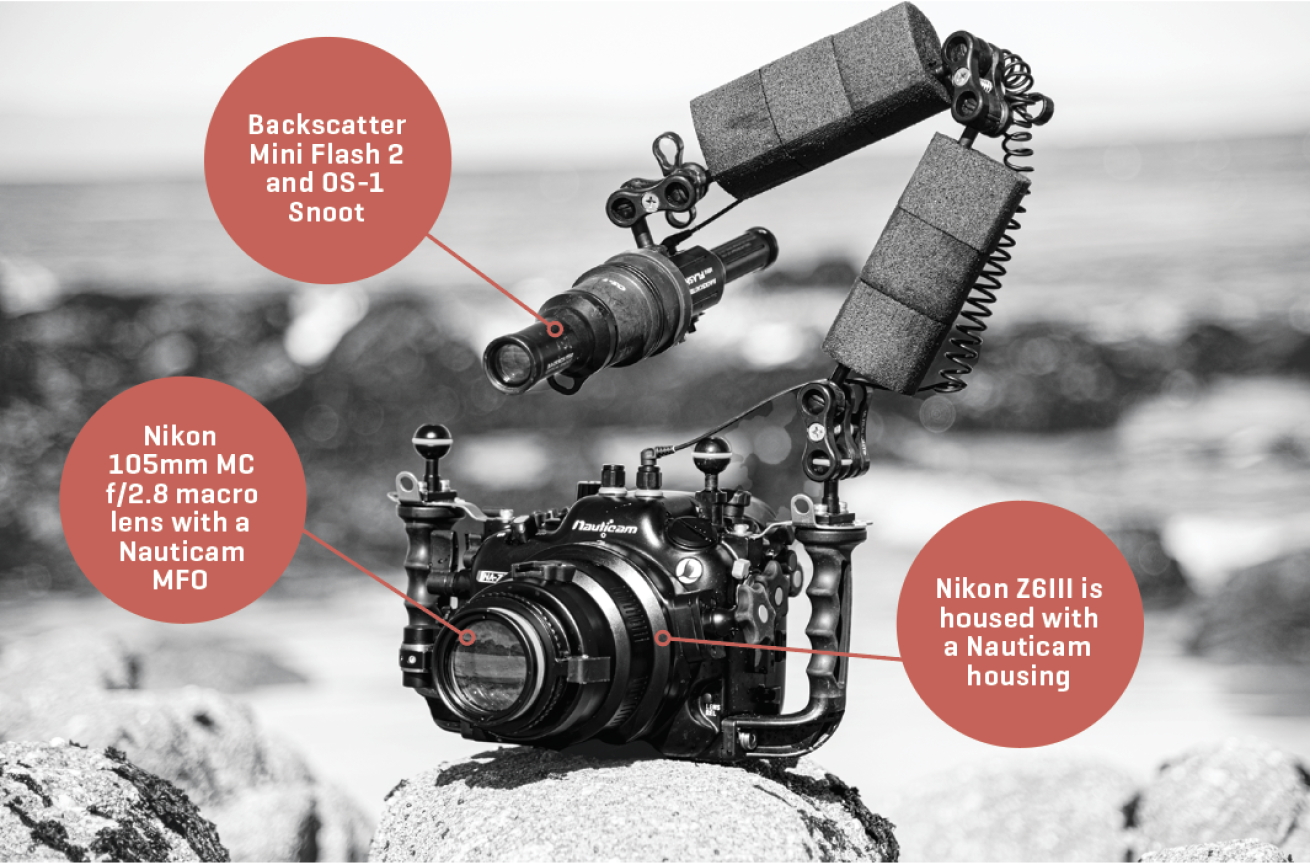 image of an underwater camera with a snoot on the rocks at a beach