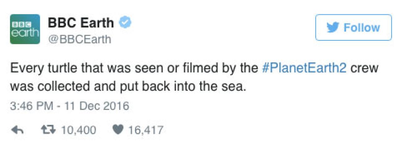 BBC Earth tweet