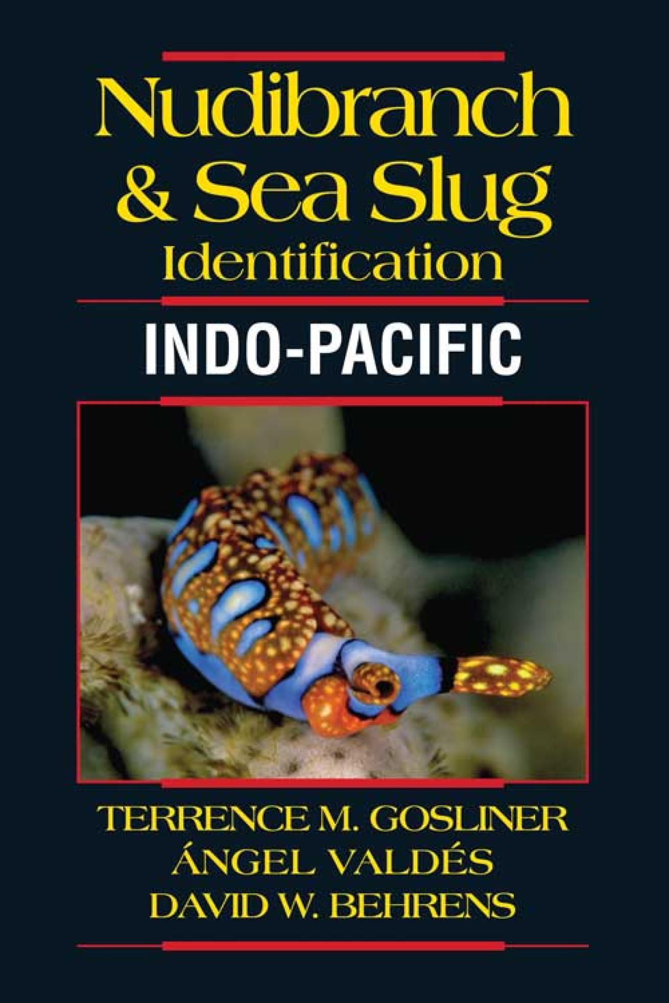 Nudibranch and Sea Slug Cover