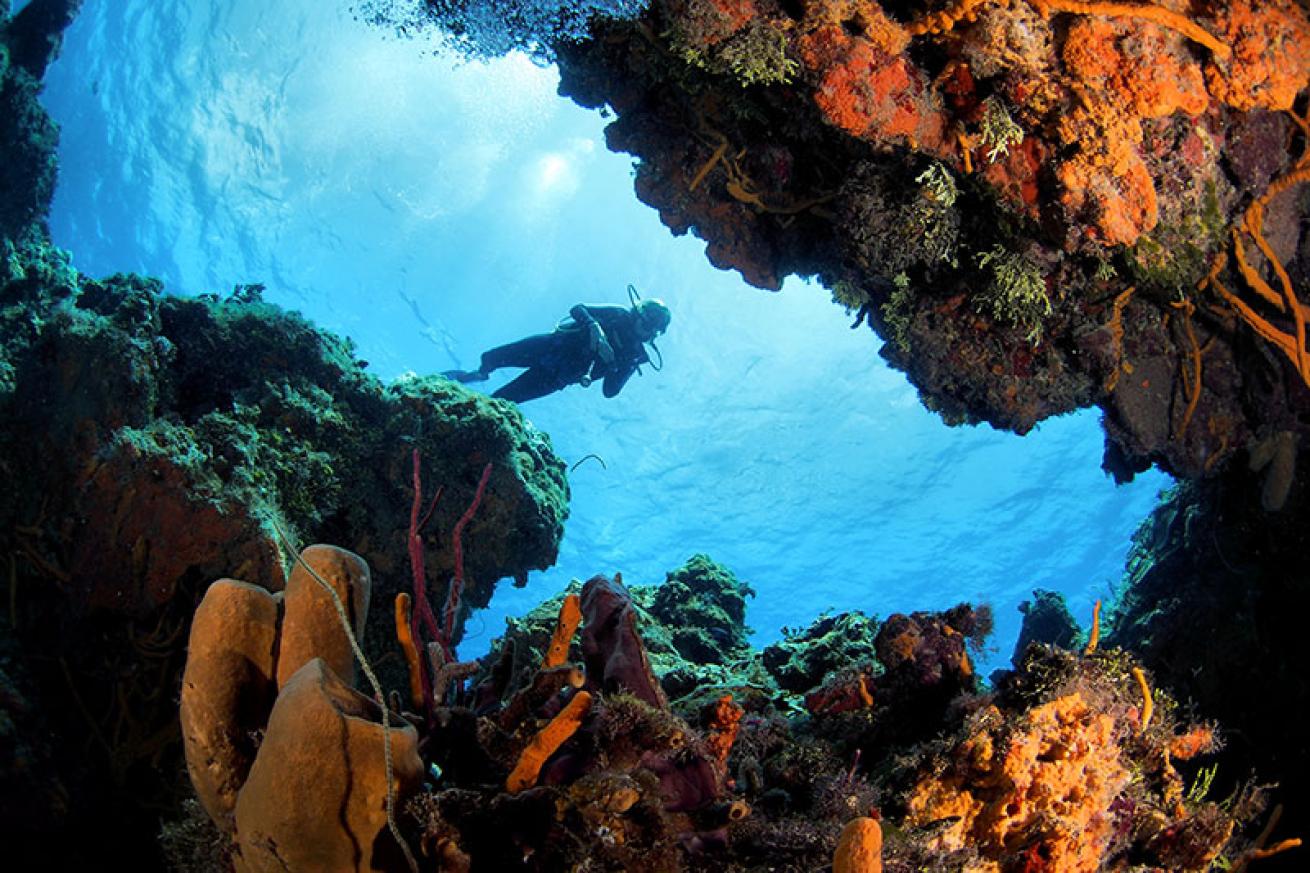 Cozumel scuba diving