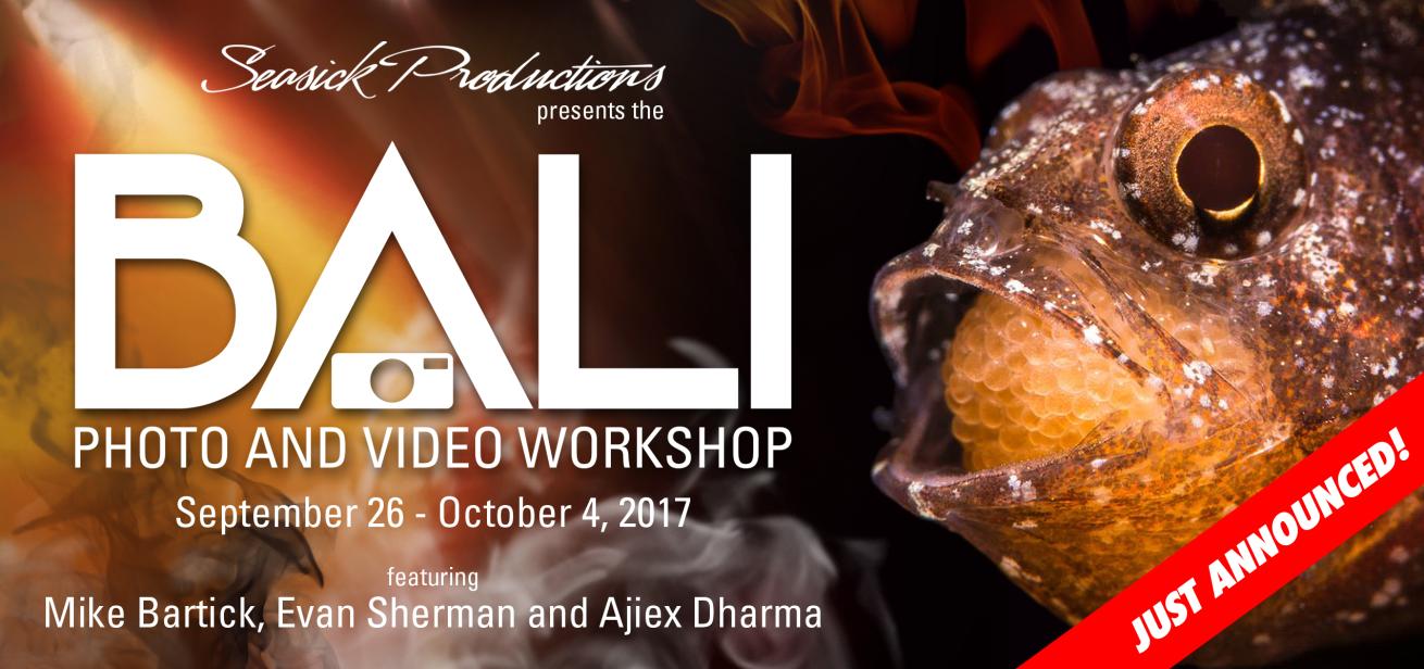 Bali photo and video workshop