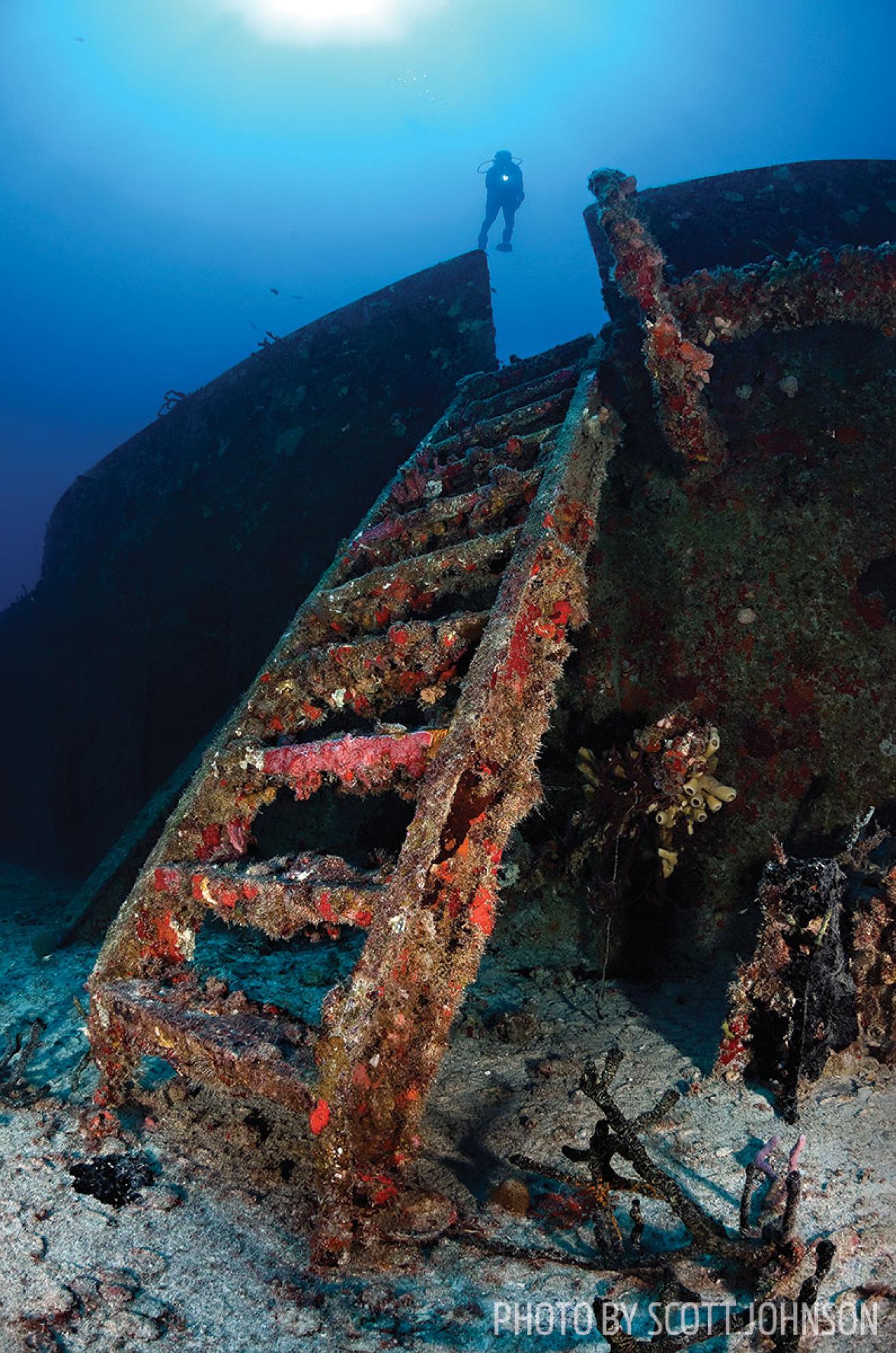 florida scuba diving