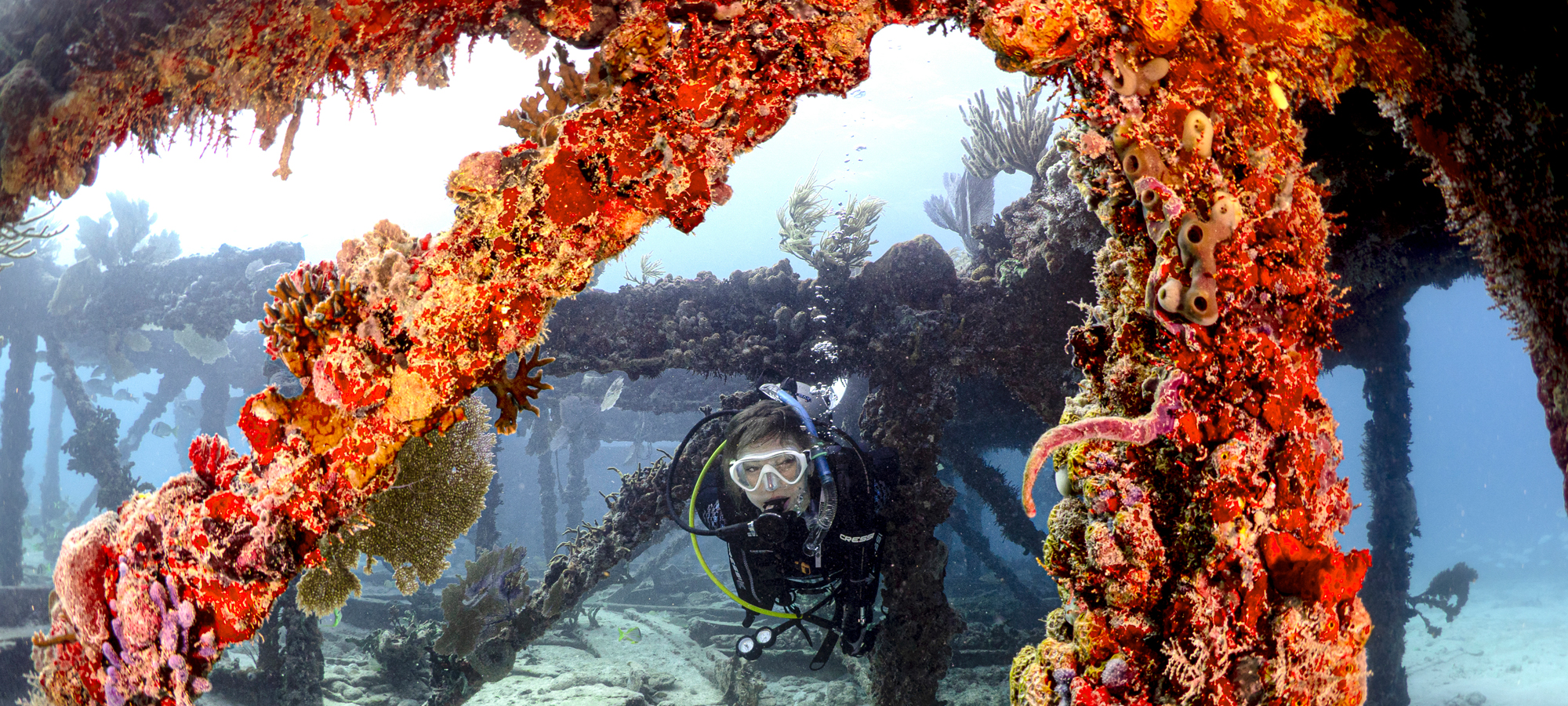 Scuba Diver at Flagler&#039;s Barge in Marathon