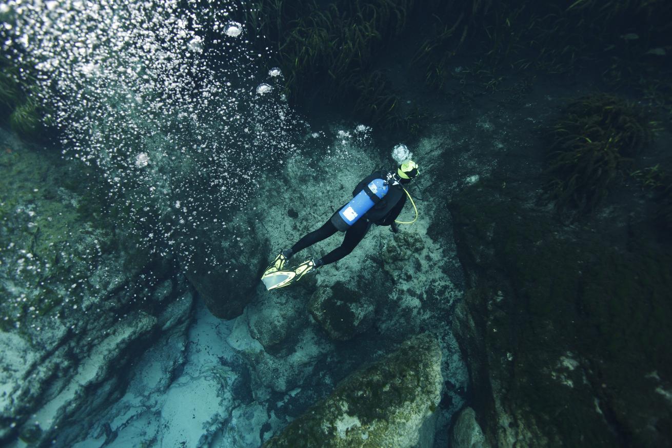 Diving in Alexander Springs, Florida 