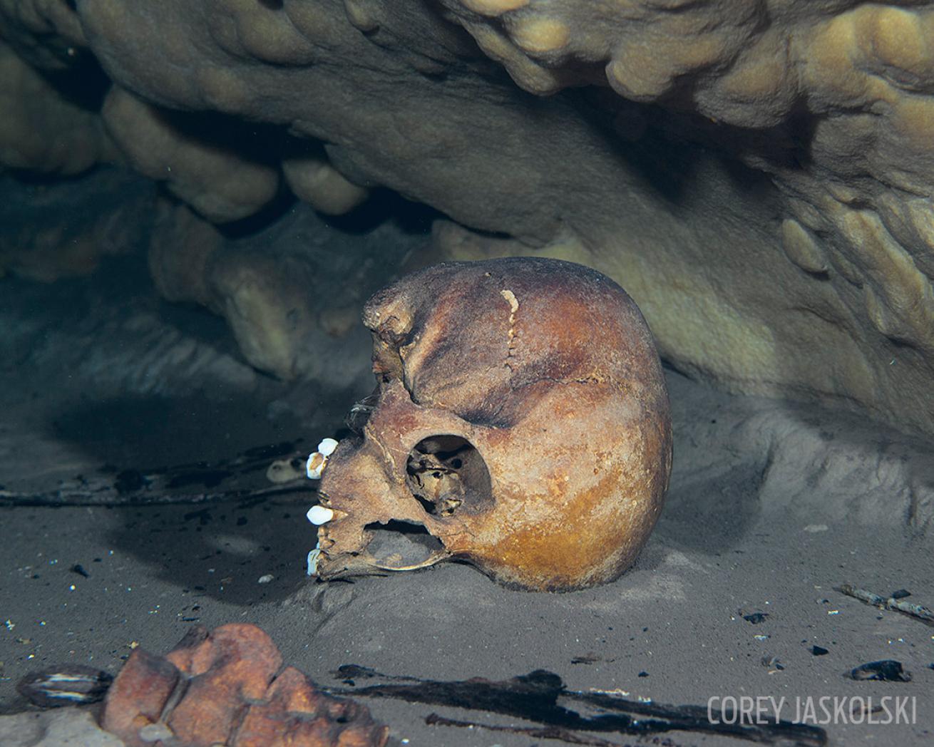 human skull cenote mexico underwater