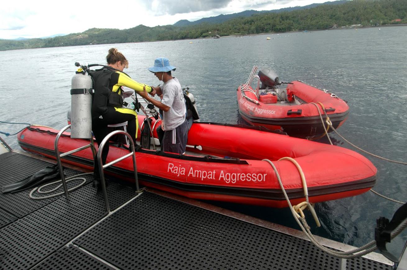 RAJA AMPAT AGGRESSOR DIVE TENDER