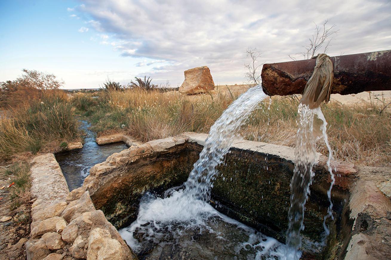 Egyptian Irrigation System