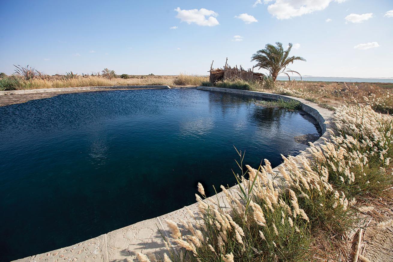 A Spring at Abu Shuruf