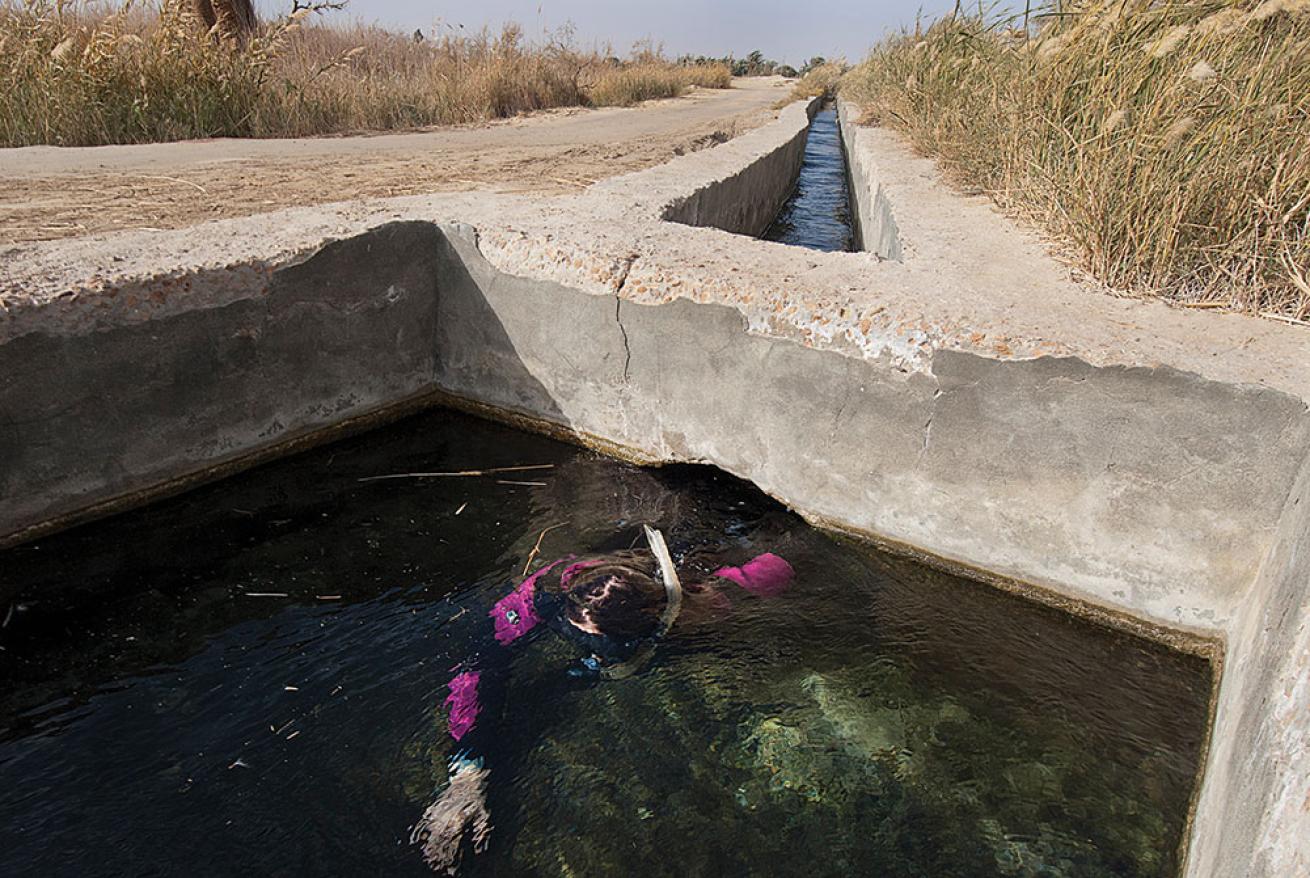 Exploring a Spring in Abu Shuruf