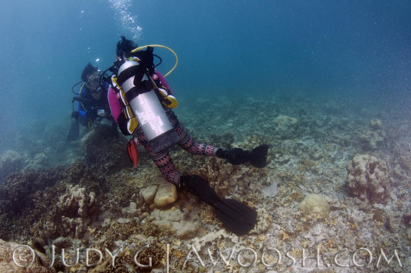 A Diver Wrongfully Kneels on the Coral