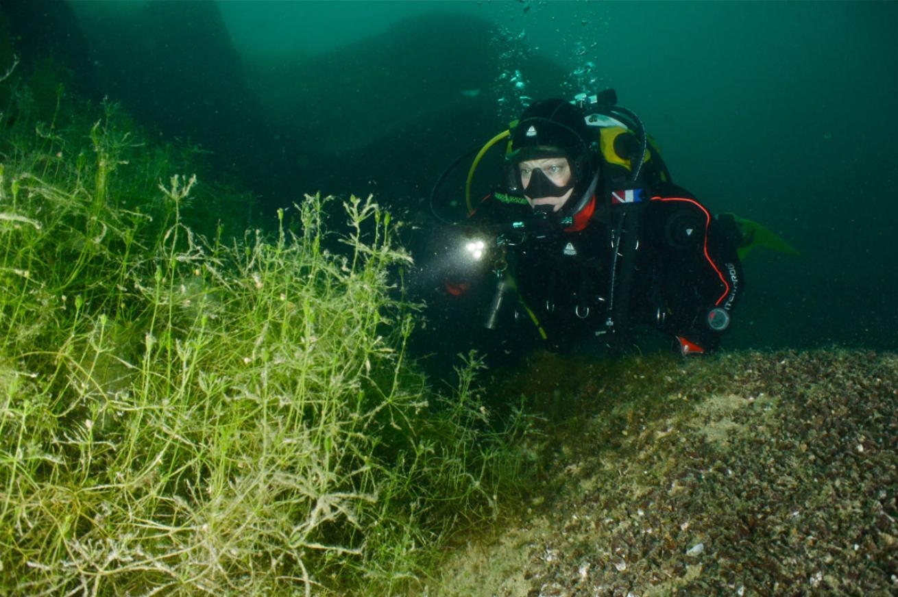 Scuba Diving Italy