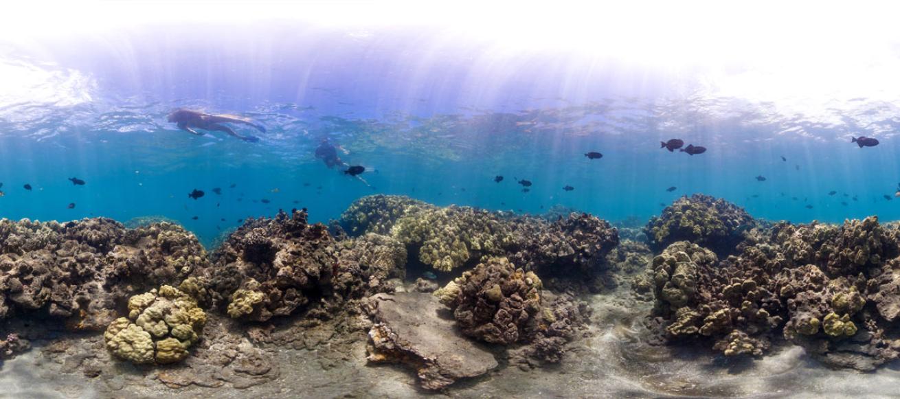 Flattened 360° panorama of the coral reef at Hanauma Bay, Hawaii - 2012