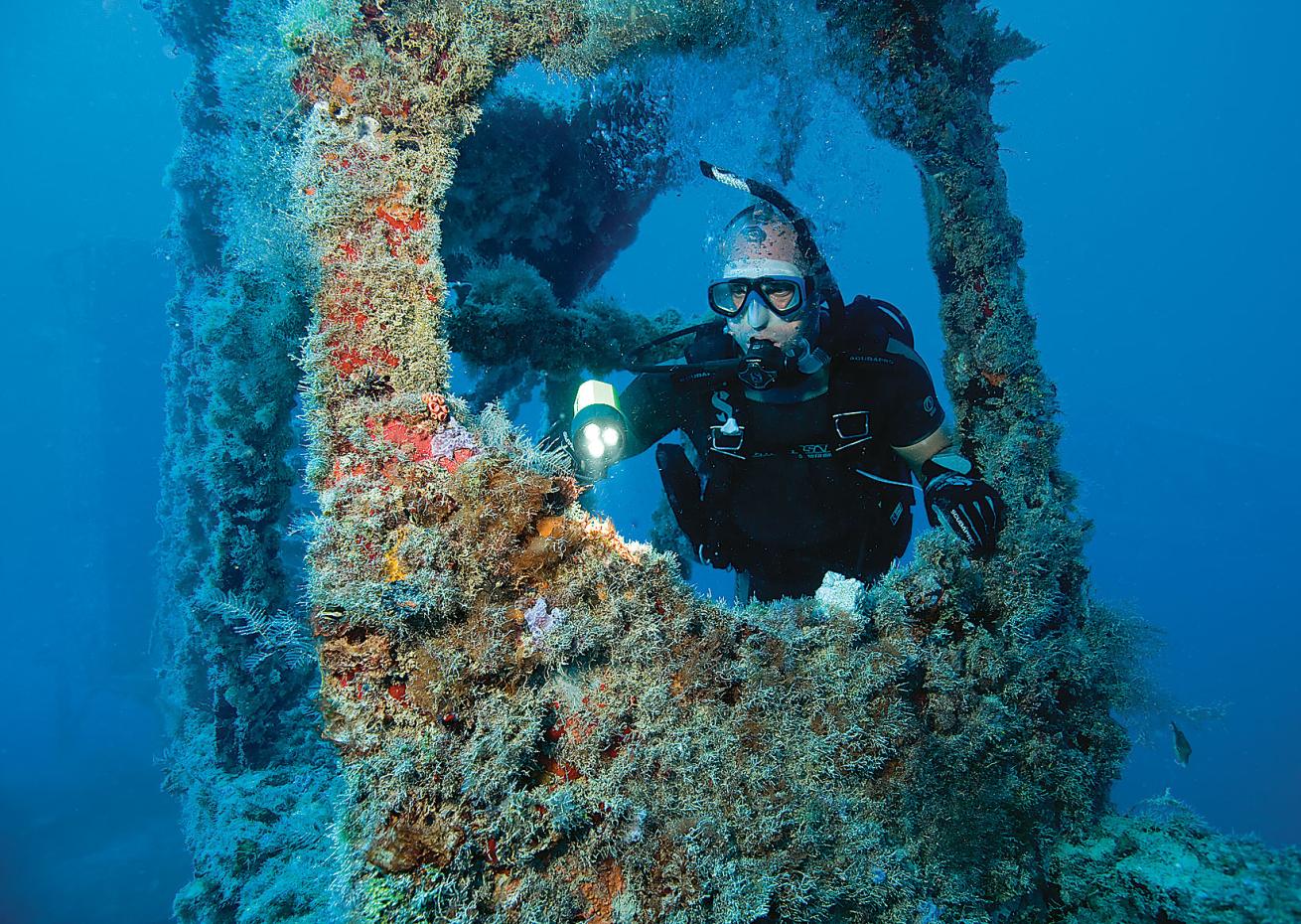 The *Spiegel Grove* has a healthy coating of marine life.