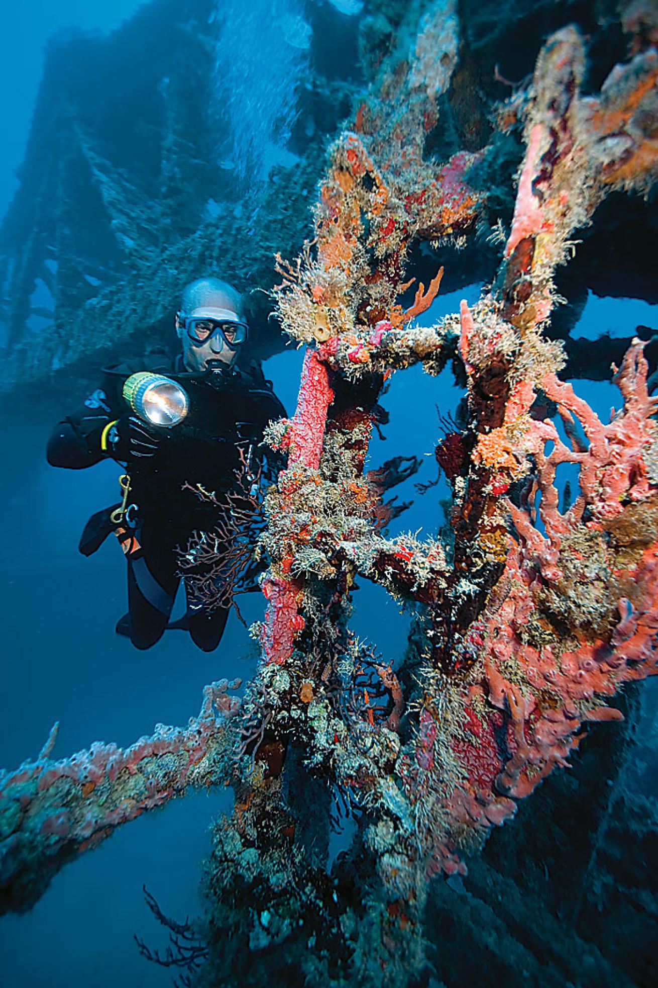 The current typically approaches from the south, hitting the starboard corner of the stern and flowing diagonally across the ship. Stay close enough to the wreck that you don't get swept away.