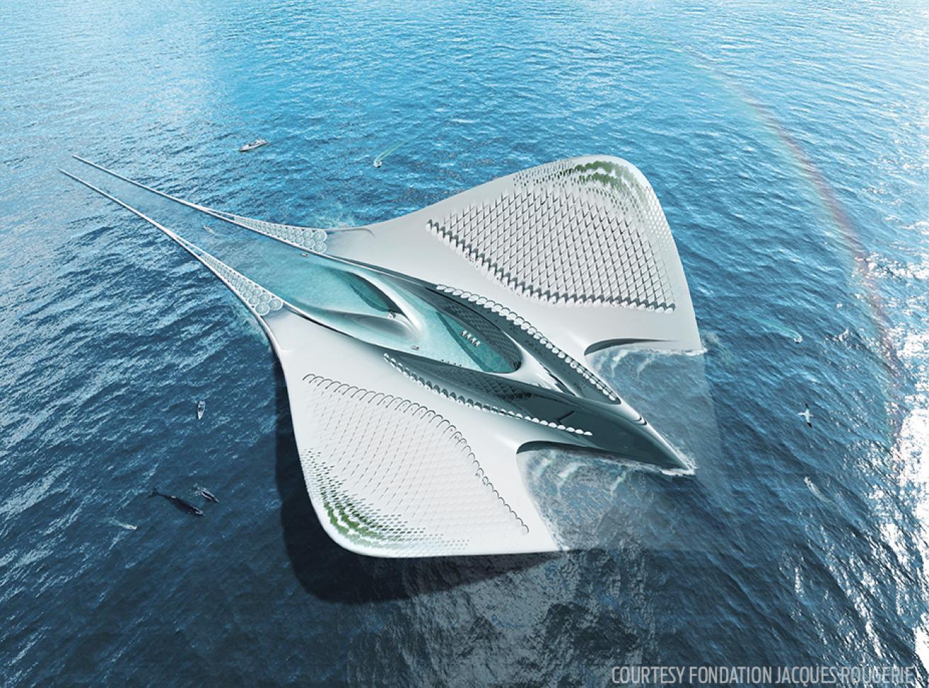 Gigantic manta ray underwater structure
