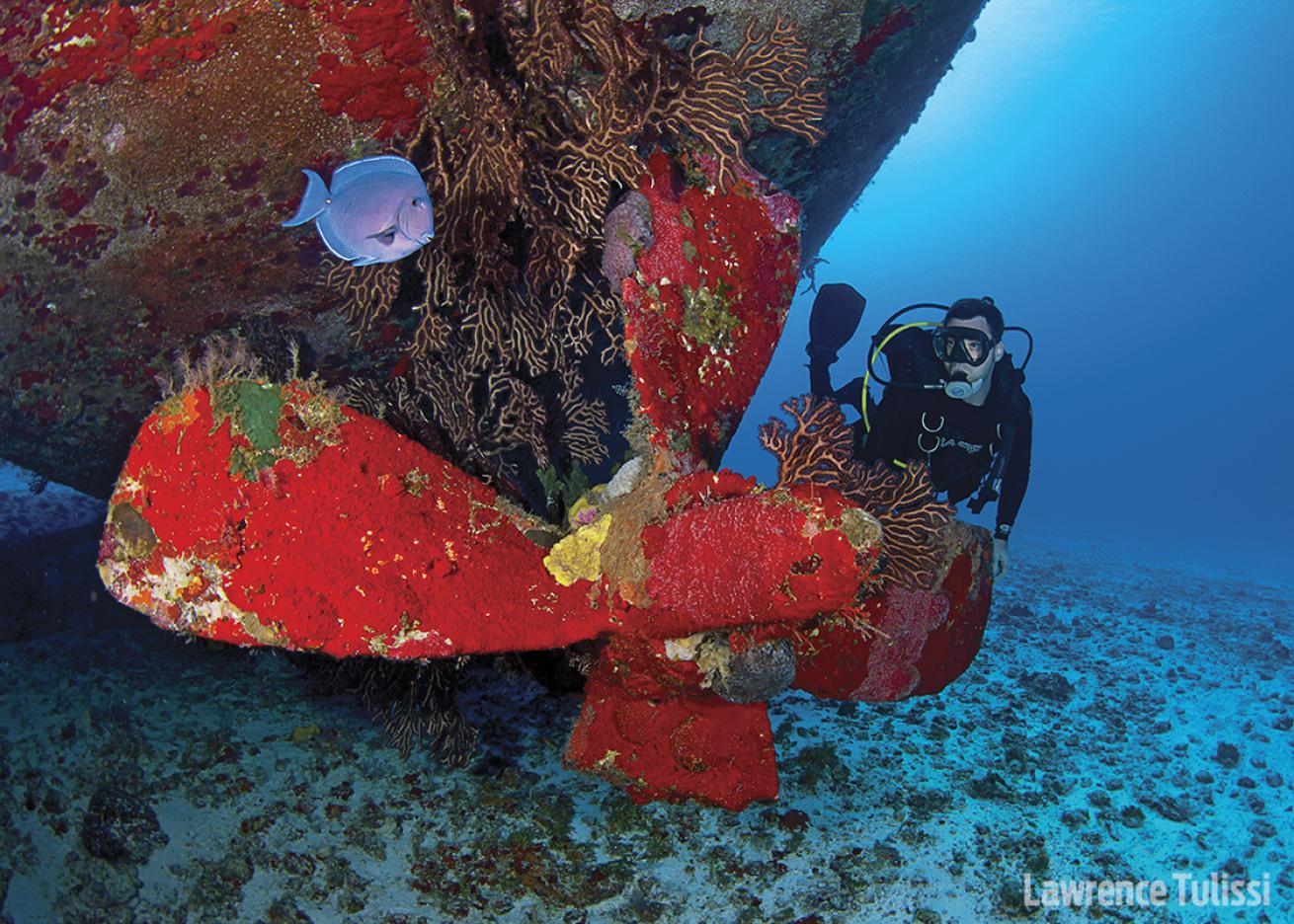 Diver at Felipe Xicotencatl wreck in Cozumel