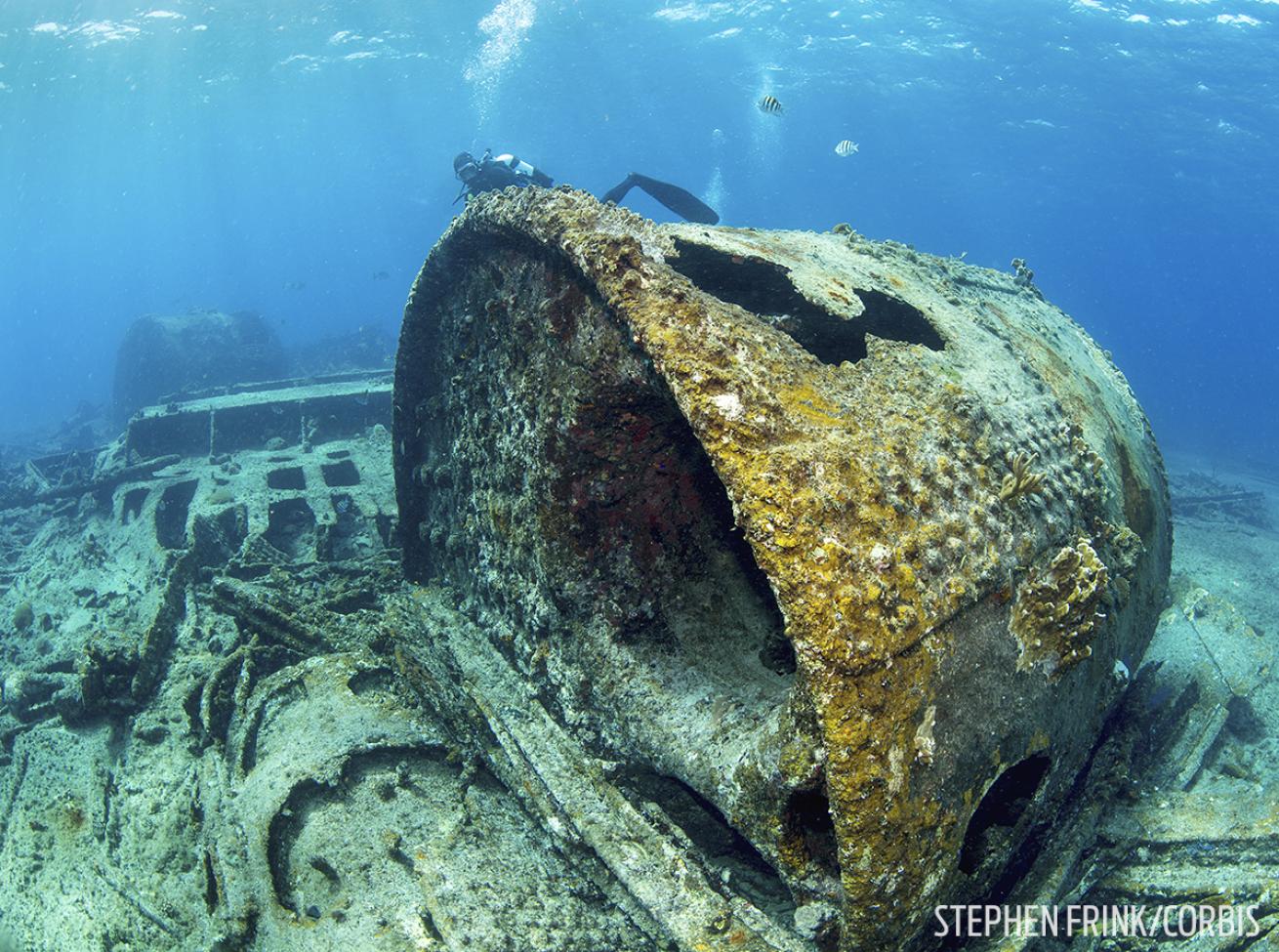 San Jacinto Wreck Dive in the Bahamas Underwater Photo