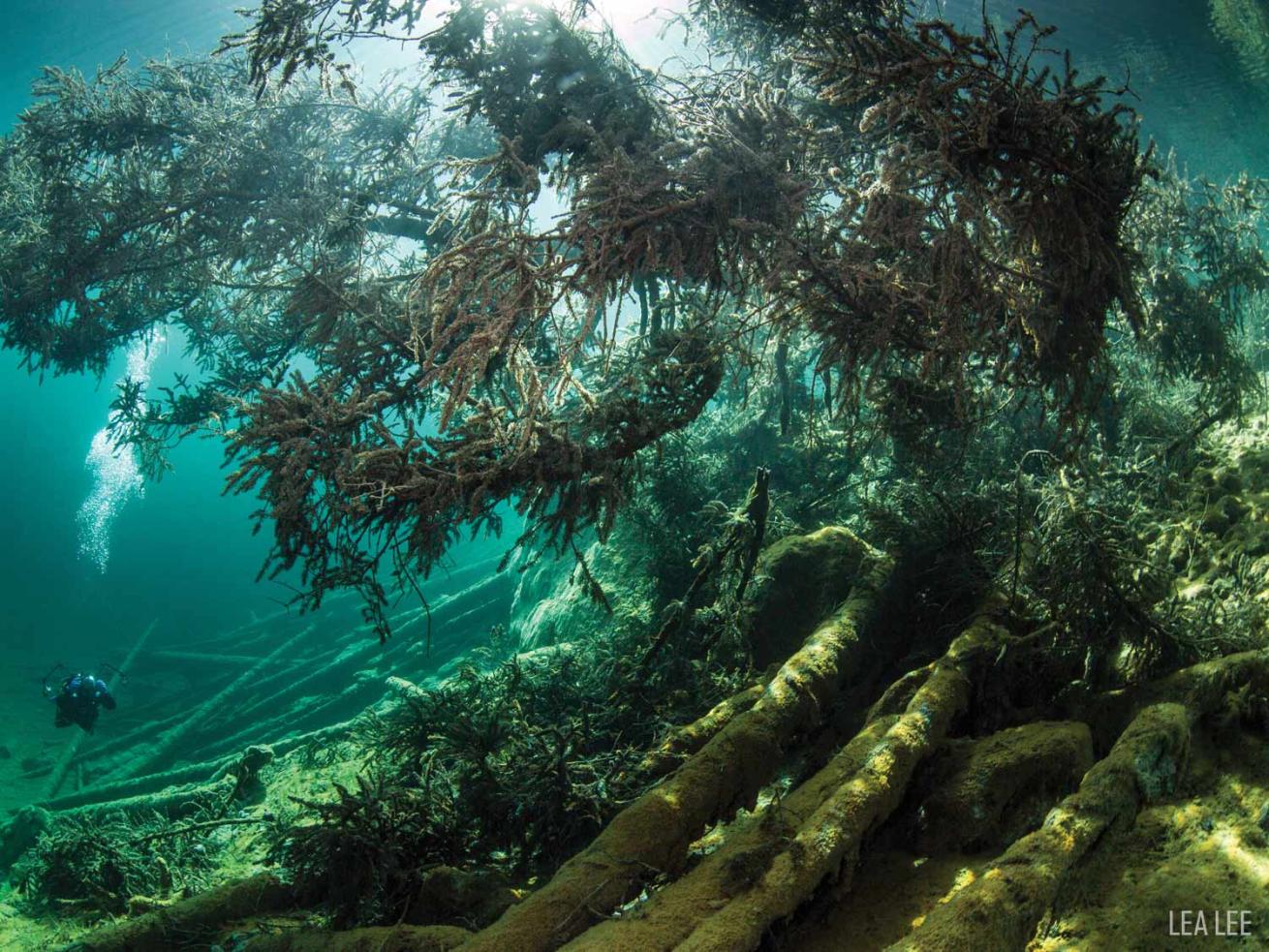 fernsteinsee lake austria underwater scuba diver