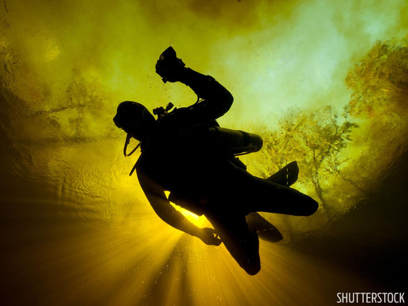 Scuba diver silhouetted in Florida spring