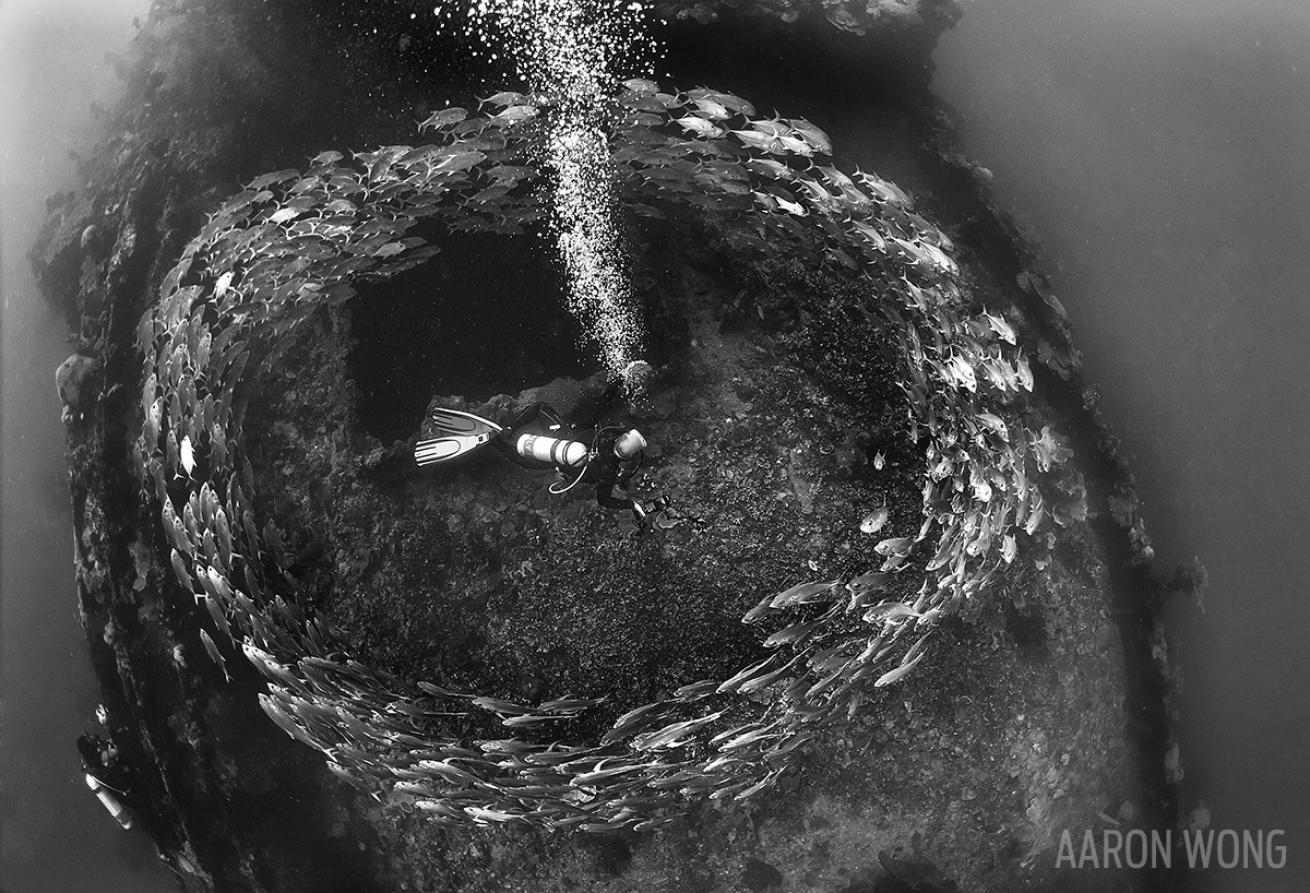 Iro Maru shipwreck underwater with schooling fish in Palau