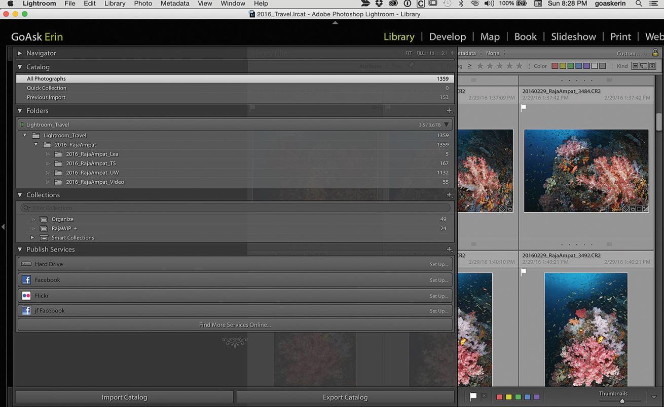 Adobe Lightroom Catalog Tutorial Tips Adjust Window How To