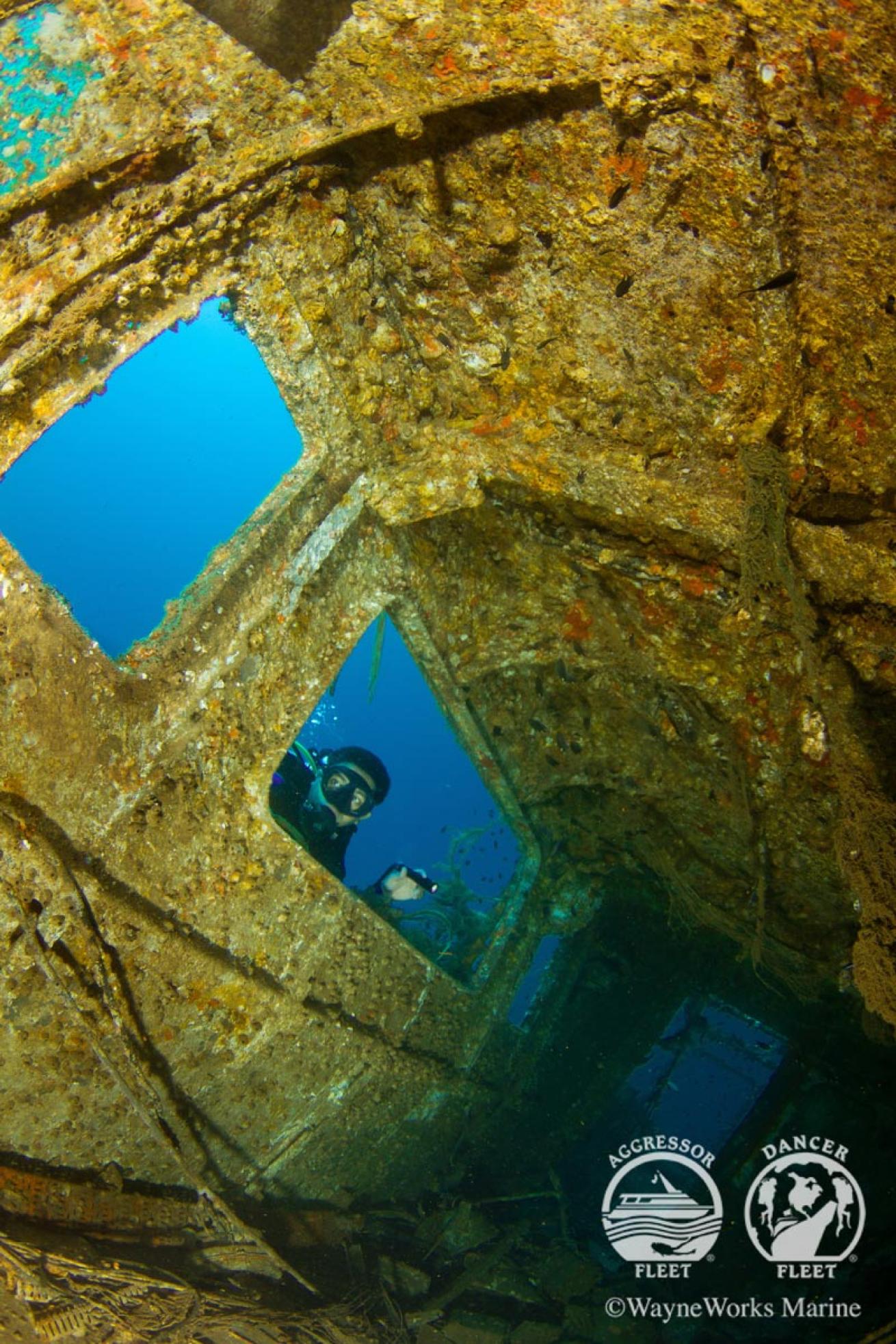 shipwreck scuba diver sri lanka