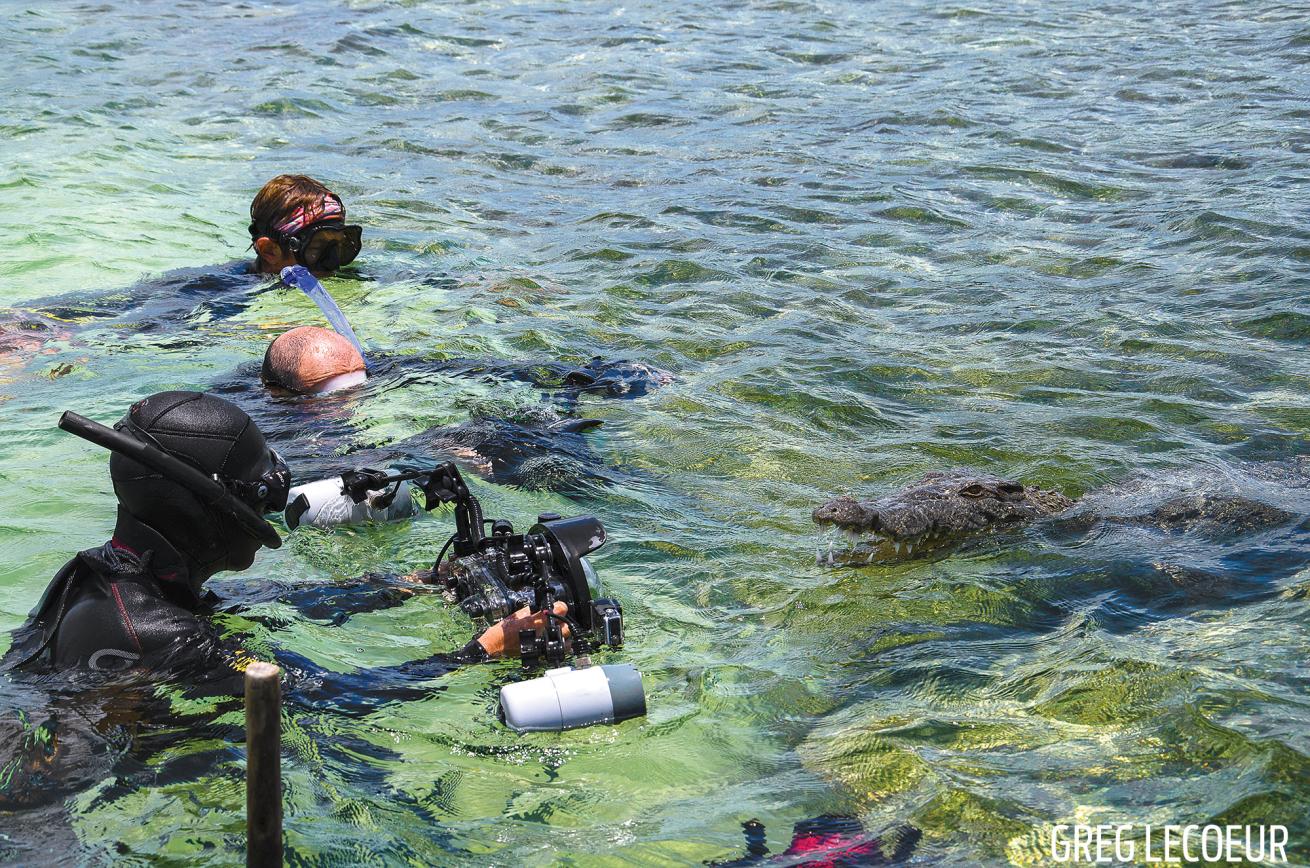 Photographers in water crocodiles mexico