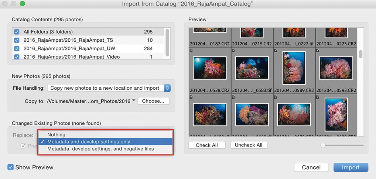 Use Adobe Lightroom Catalogs 