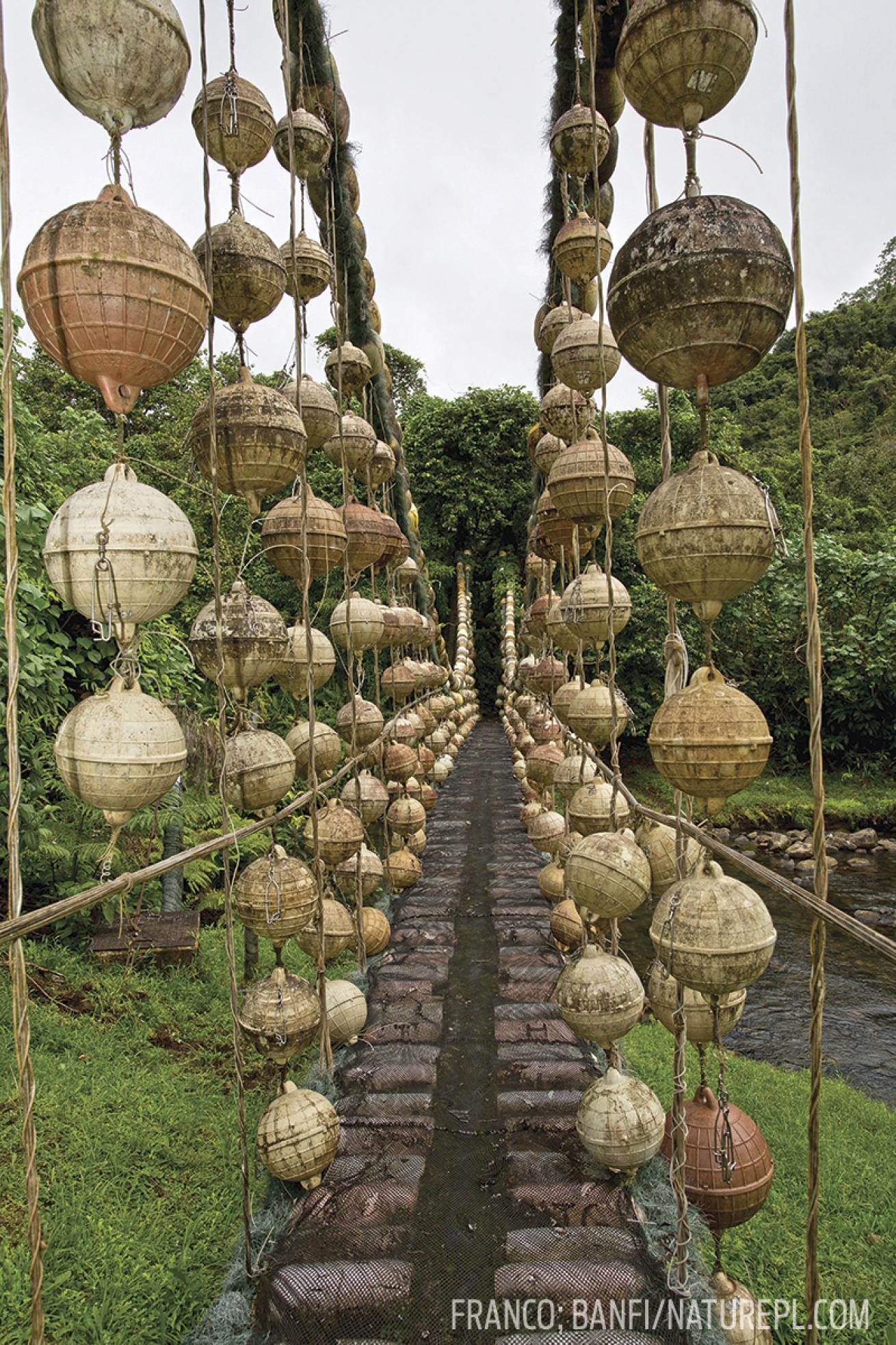 Rope Bridge Costa Rica