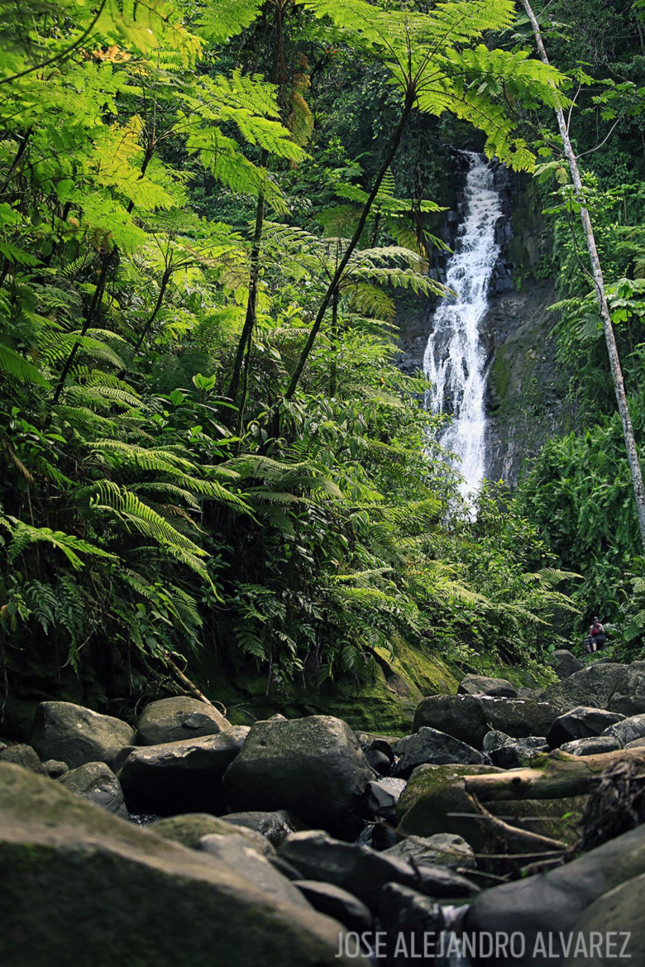 Costa Rica Waterfall