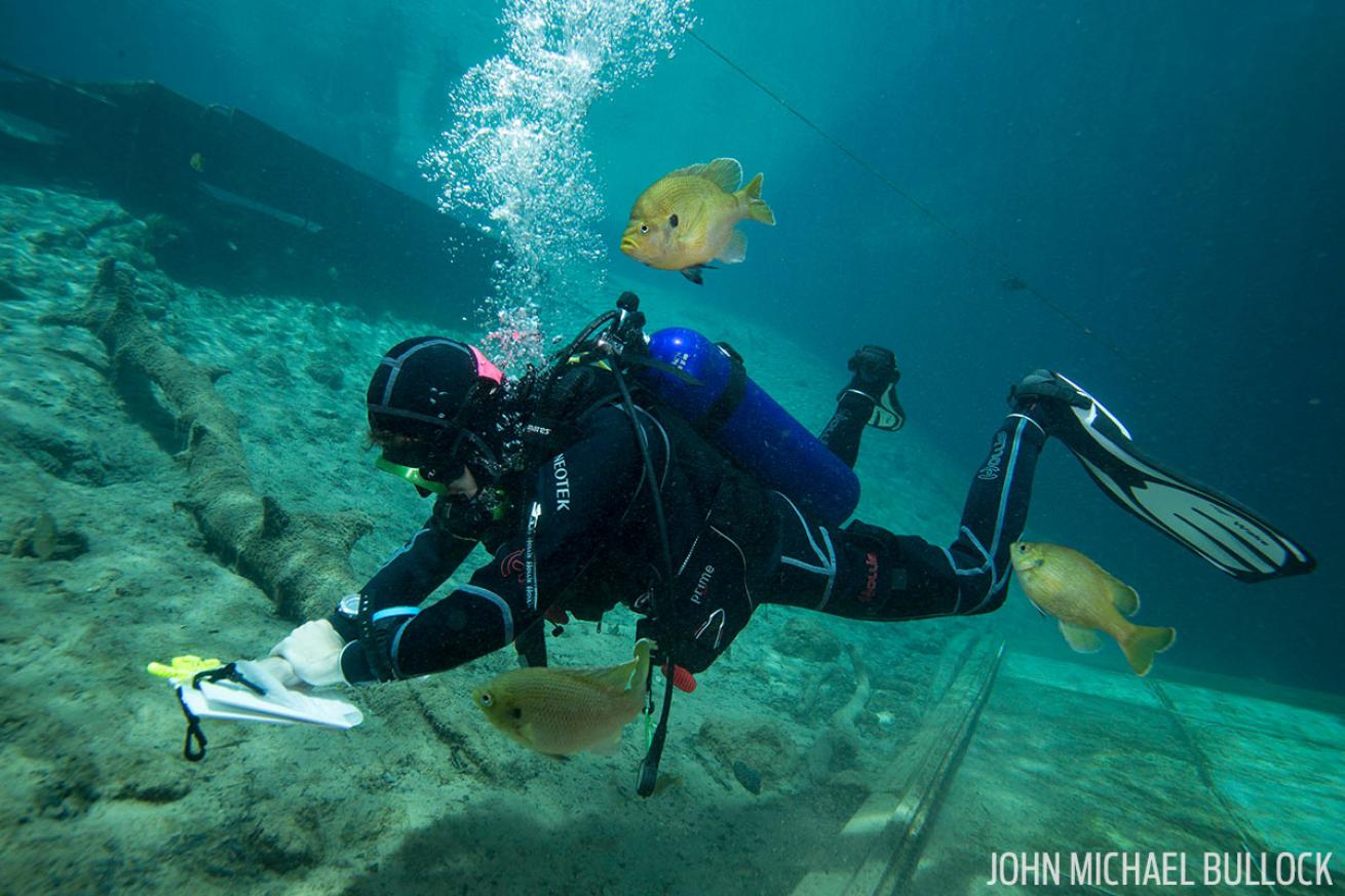ScubaLab dive computer test diver and freshwater fish.