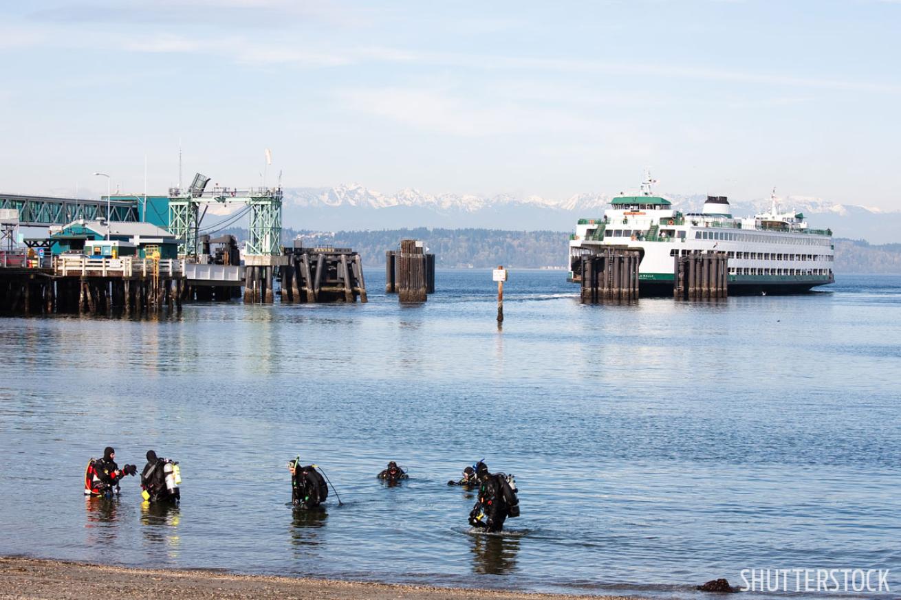 scuba diving seattle pugent sound