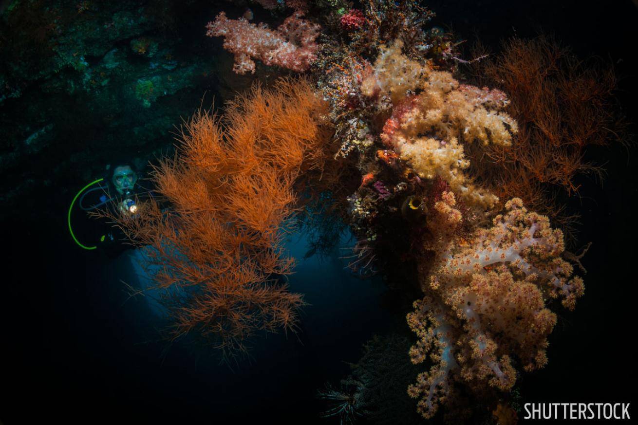 wreck diving in bali, indonesia