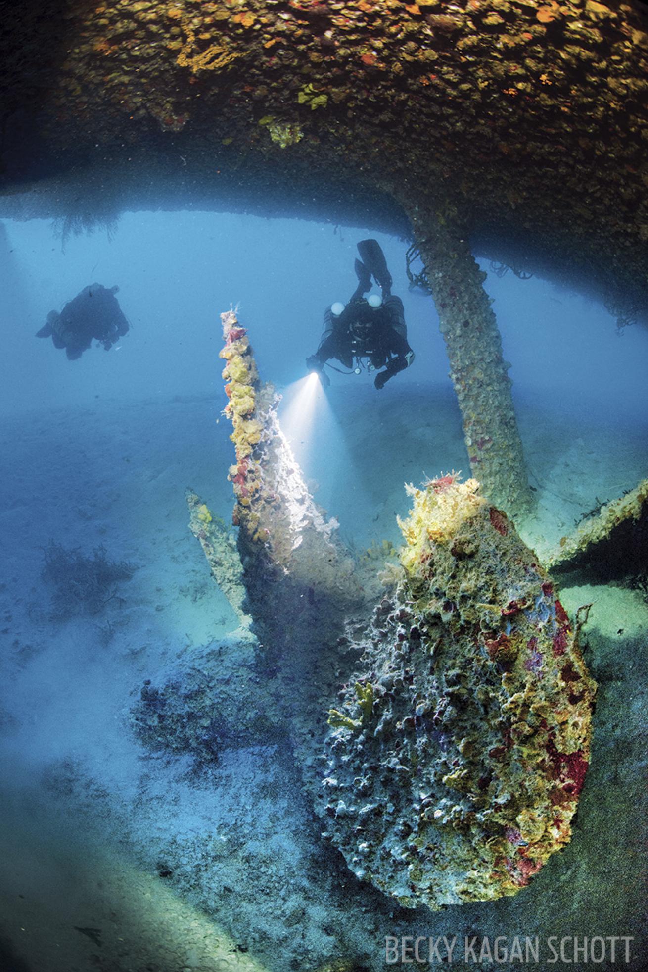 scuba diving the spiegel grove