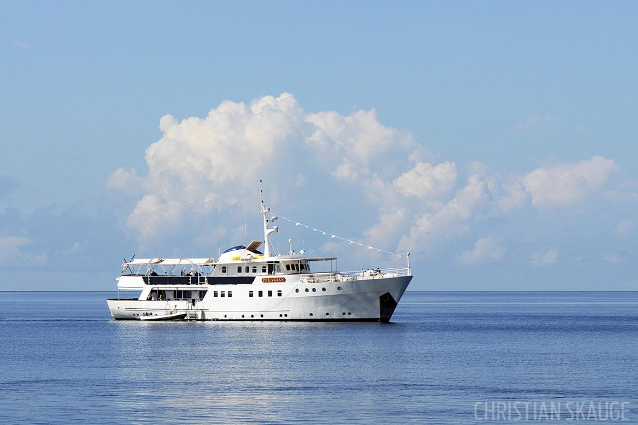 scuba diving in indonesia aboard the pelagian