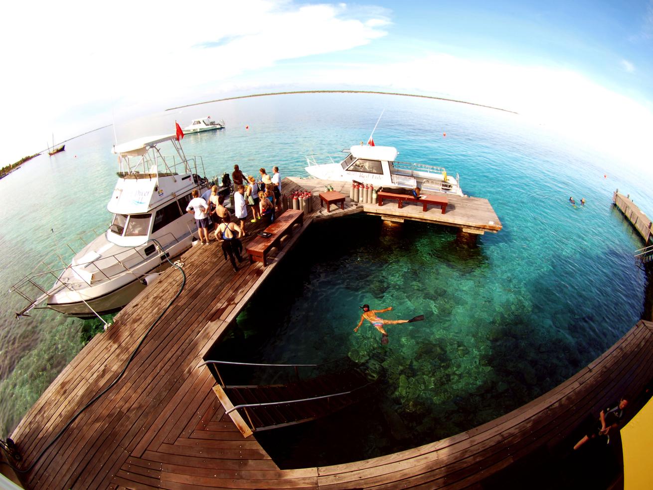 scuba diving with Buddy Dive Bonaire