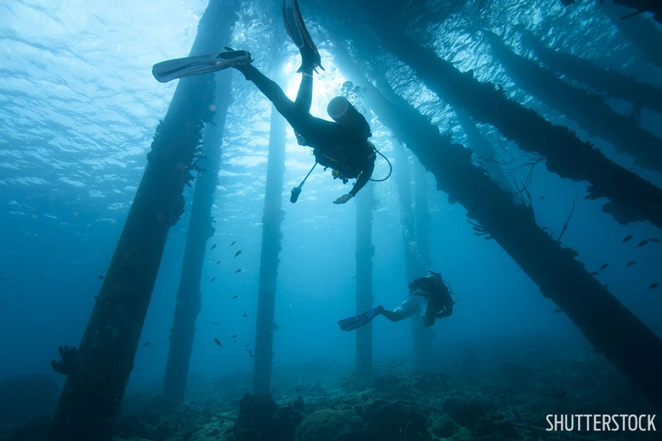 Best Scuba Diving For Beginners Bonaire Caribbean